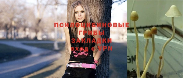 крисы Алексеевка