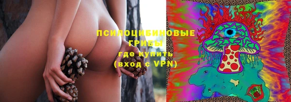 дживик Алзамай