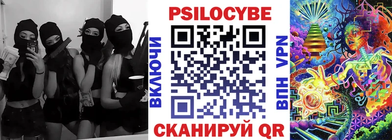 Псилоцибиновые грибы Psilocybine cubensis  Пермь 